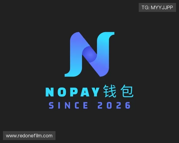 介绍NOPAY钱包