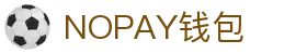 NOPAY钱包 - 数字钱包支付平台|安全便捷的移动支付